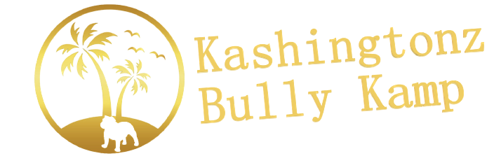 Kashingtonz Bully Kamp Logo